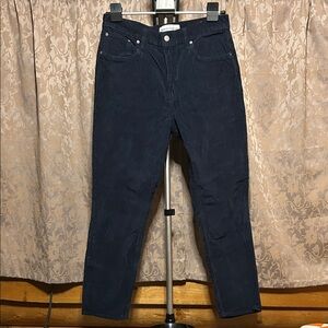 Denim Forum - Aritzia- The Yoko High Rise Slim 28L